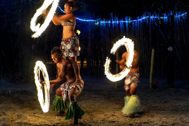 【半日】フィジーカルチャーディナーショー